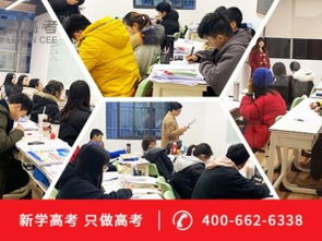 高三艺术生文化课
