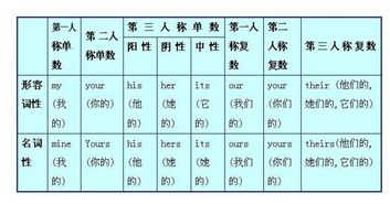 she的所有格

