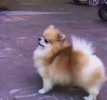 出没的拼音