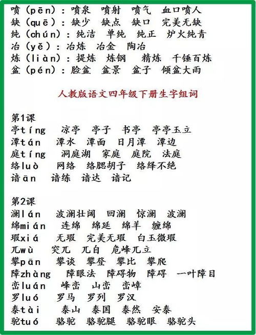 背可以组什么词
