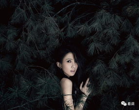 戴佩妮的歌
