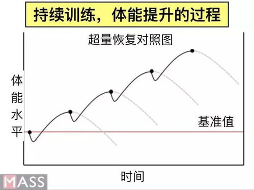 运动强度
