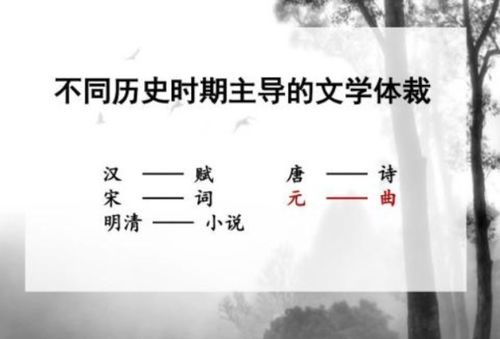 四大文学体裁
