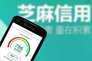 芝麻信用极好

