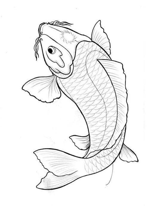 锦鲤简笔画
