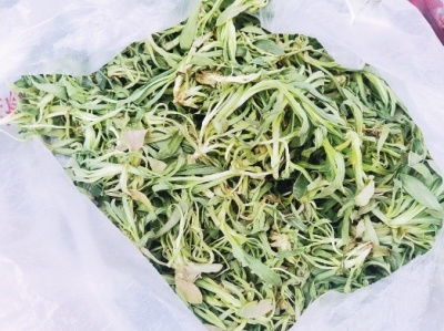 面条菜的功效与作用及禁忌是什么?