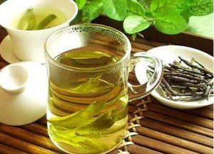 苦丁茶有减肥功效吗
