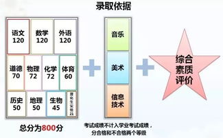 中考美术特长生怎么考
