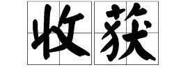 华丽的什么,组词