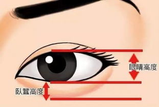 卧蚕怎样画才好看