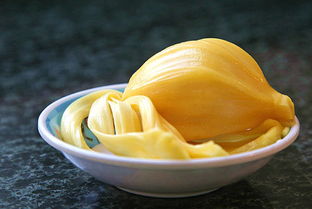 菠萝蜜产地在哪里
