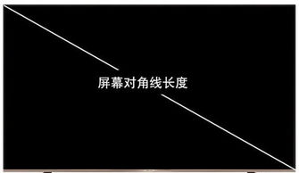 一寸等于
