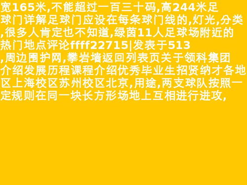 11人制足球场地尺寸