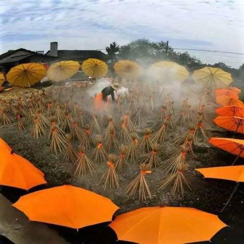 我的油布伞,分为三个部分并概括段意