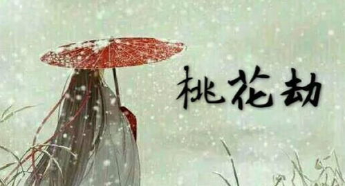 桃花庵里桃花仙全诗
