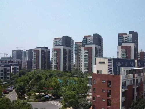 光谷当代国际花园
