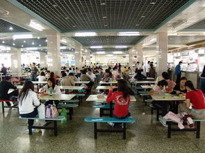 大学食堂承包一个窗口需要多少钱