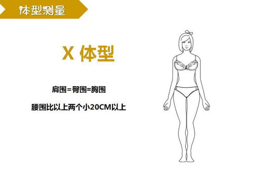 臀围怎么测量
