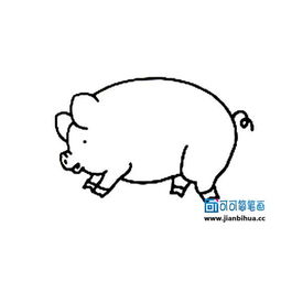 怎么画小猪好看又简单