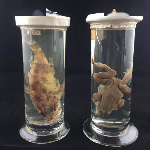空气是溶液还是胶体?