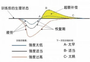 运动强度如何分级?