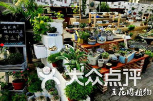 大连哪里的礼品店多,而且礼物比较便宜?