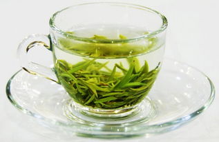哪些茶属于绿茶