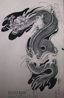 披肩龙
