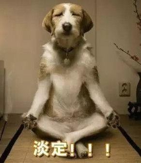 出没的意思
