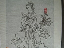 勾线画
