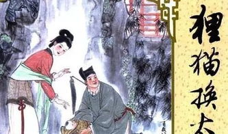 谁能告诉我狸猫换太子是什么意思?