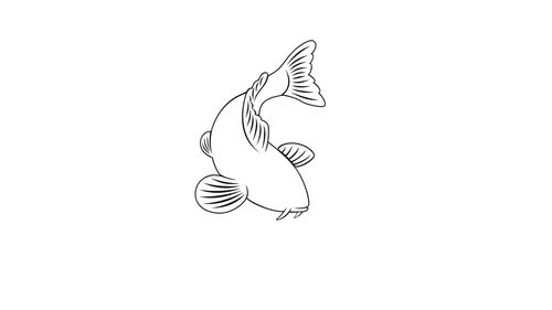 小鲤鱼跳龙门手抄报 简笔画
