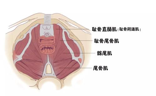 精关不固有什么表现