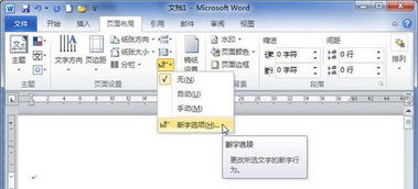 Word具有的功能是什么?