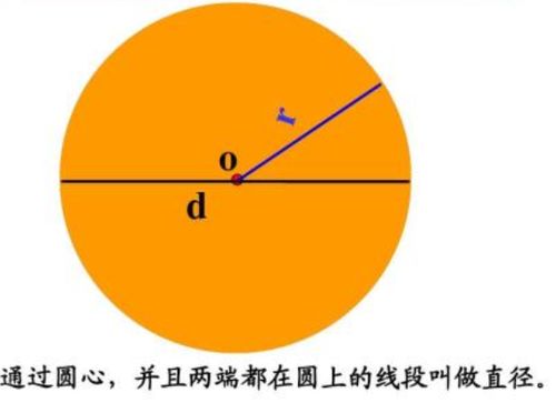圆的面积怎么算?为什么?