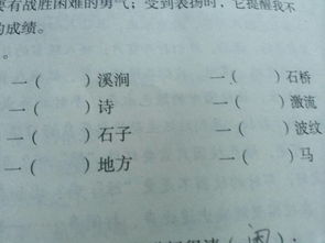 填量词
