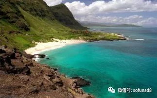 伍佰写给别人的歌都有哪些
