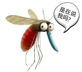 形容蚊子声音的词语有哪些?