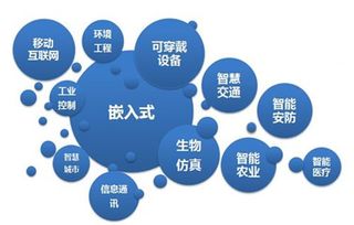 计算机科学与技术嵌入式培养是什么意思?