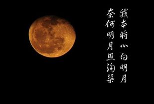 李商隐“奈何明月照沟渠”的全诗是什么?