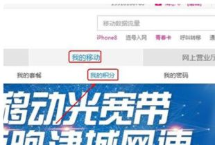 已经欠费的手机号一直不交费会有什么后果?