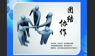 团结合作的成语
