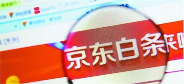 京东白条是什么意思?