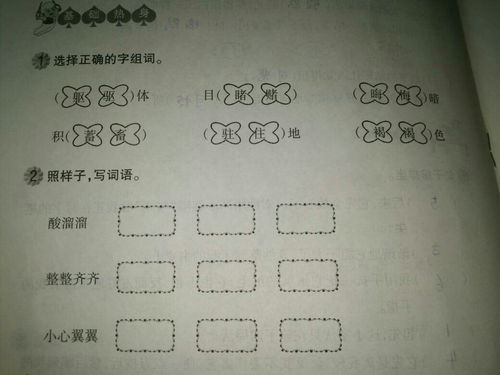 “选”字怎么组词?