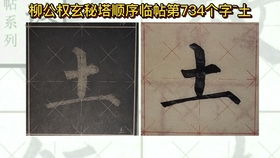 上下结构的字有哪些
