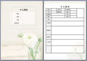 主要简历怎么填写
