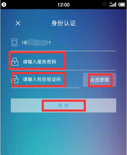 如何查询自己通话详单