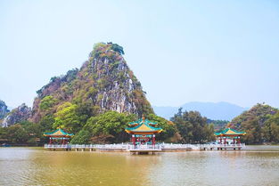 肇庆在哪里
