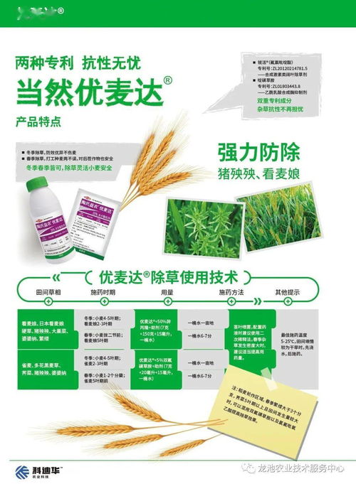小麦田用什么除草剂最好?