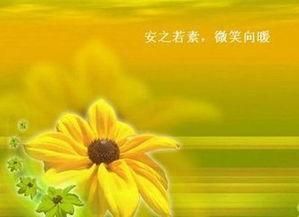 微笑向暖
